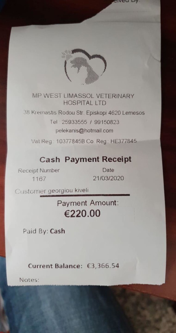 Vet bills hot sale for a dog