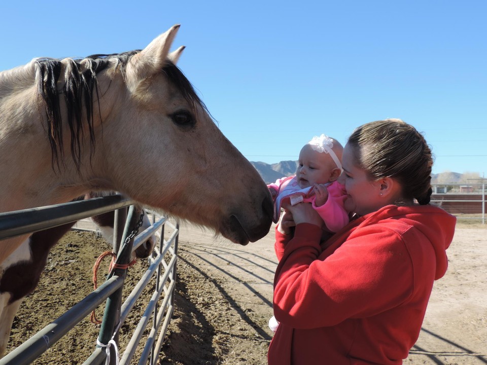 Miracle Horse Rescue, Inc posted a story update on Winter Hay Drive for