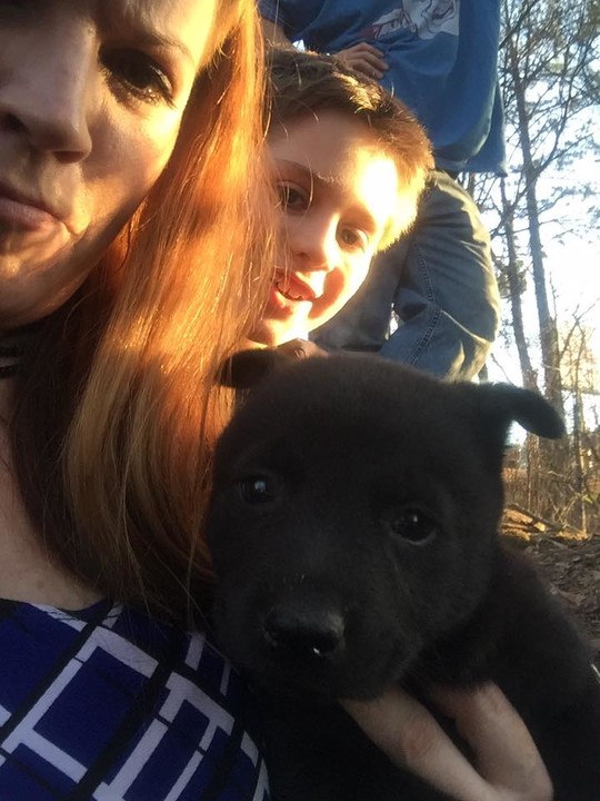 Husky Pack Rescue posted a story update on Help Husky Pack Rescue!