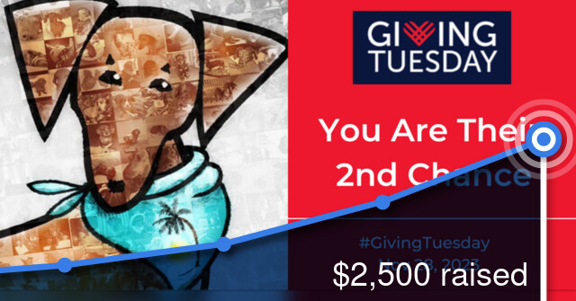 Together We Give - Giving Tuesday - November 28, 2023 Reached A Milestone