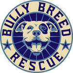 Help Puppy Kayla with Broken Leg by Bully Breed Rescue, Inc.