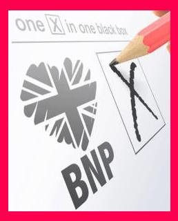 vote bnp (pink version)