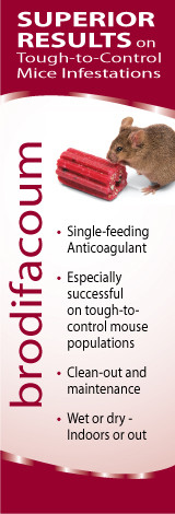 It makes your dog bleed out internally