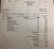 Kendall's vet bill for his eye care