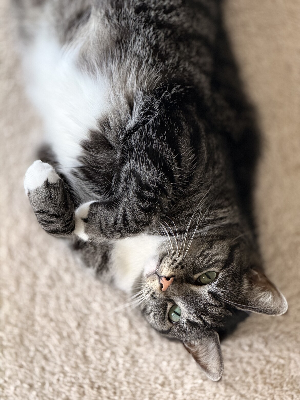 Simba, associate director