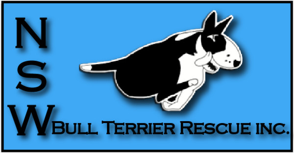 NSW Bull Terrier Rescue Inc