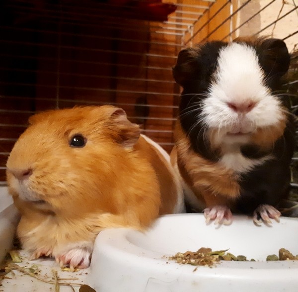 Like daughter, like mom