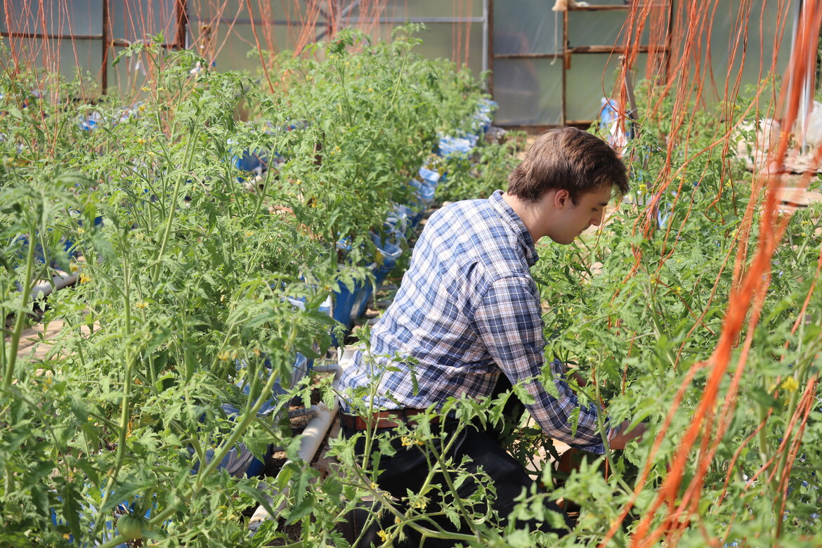 Phillip Powell on Alan Leveritt's Farm