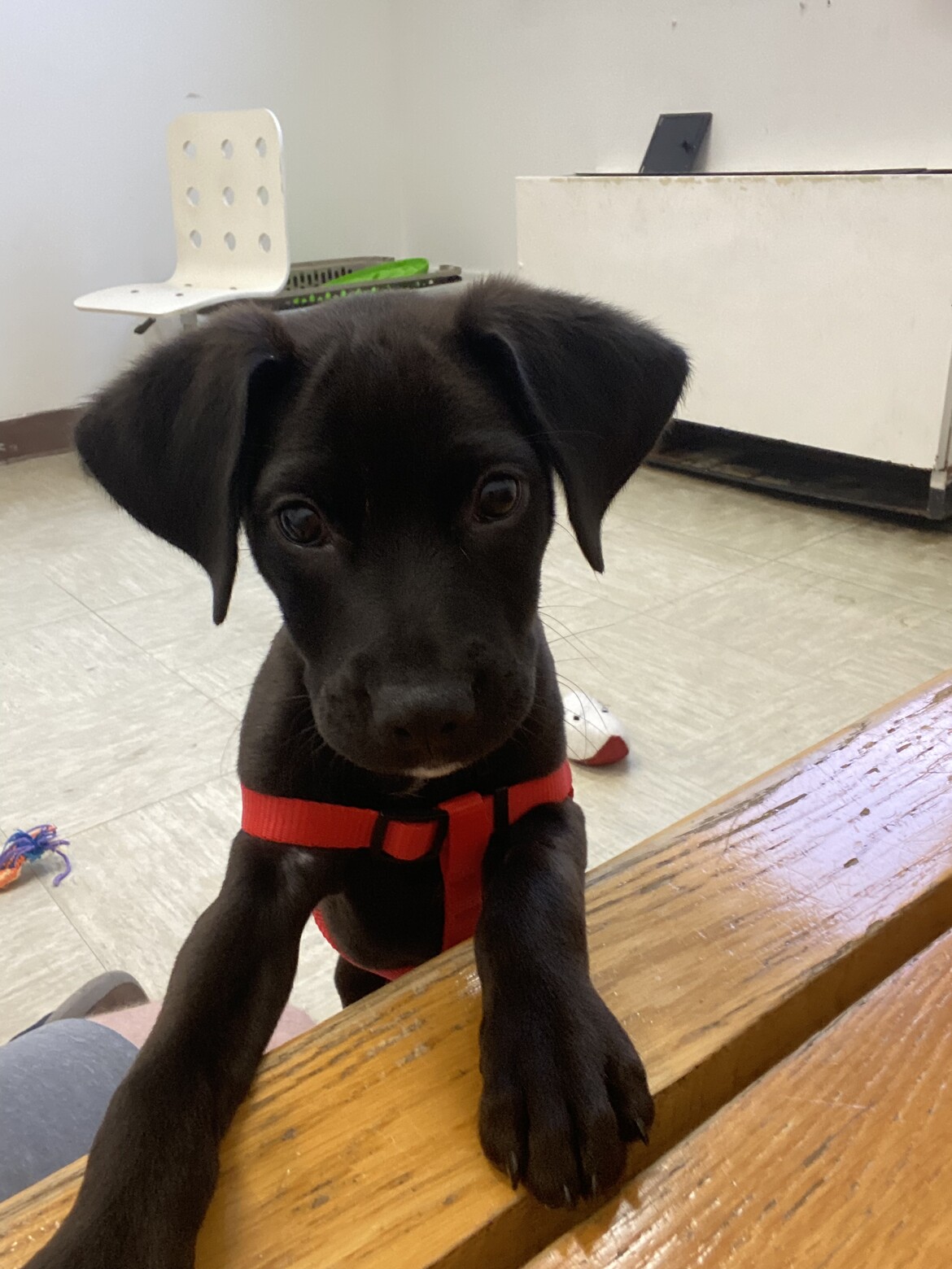 Meeting at the shelter