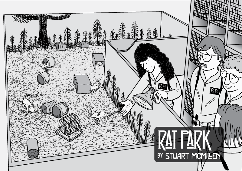 Rat Park image from the comic about SFU drug experiments