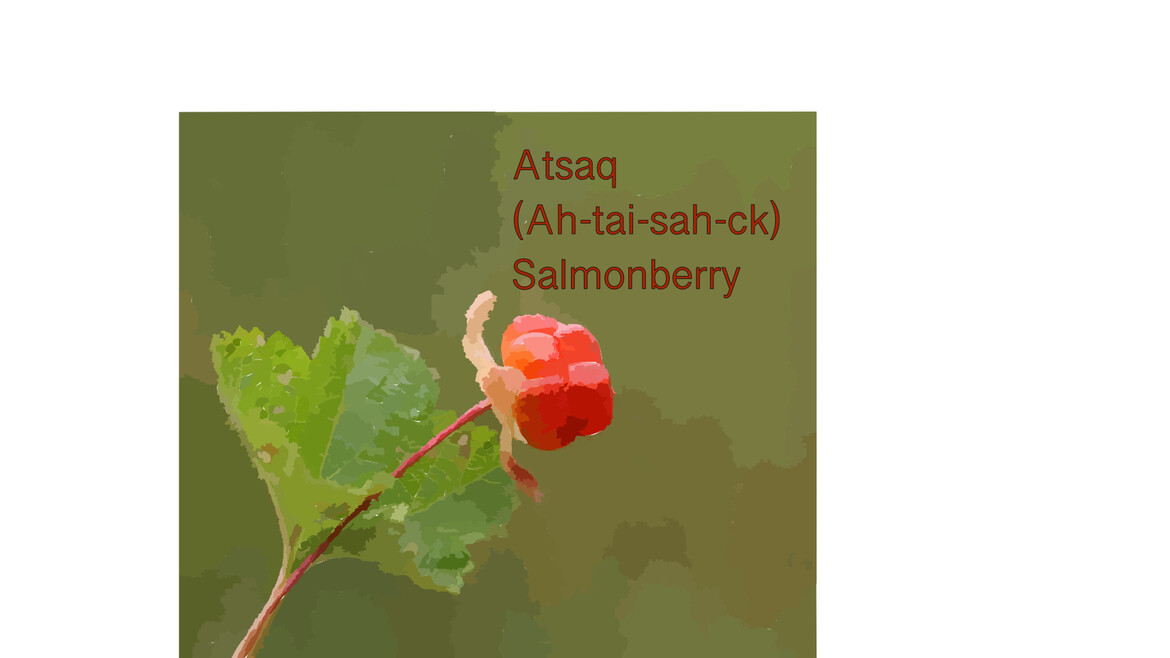 Salmonberry Pronounced