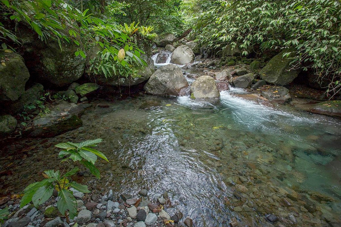 Photo: Clean river water in the Sangihe rainforest. Copyright: Stenly Pontolawokang