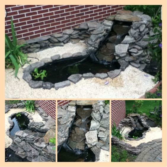 pond idea