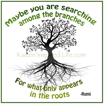 Maybe you are searching in the branches for what only appears in the roots.  - Rumi