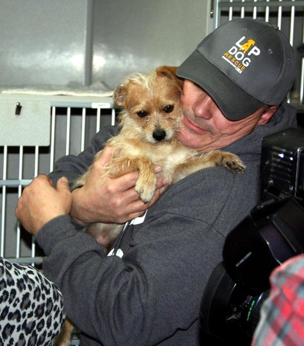 Brian Spence, President of LDRNM with 1 of the 17 rescued in one day from shelter.