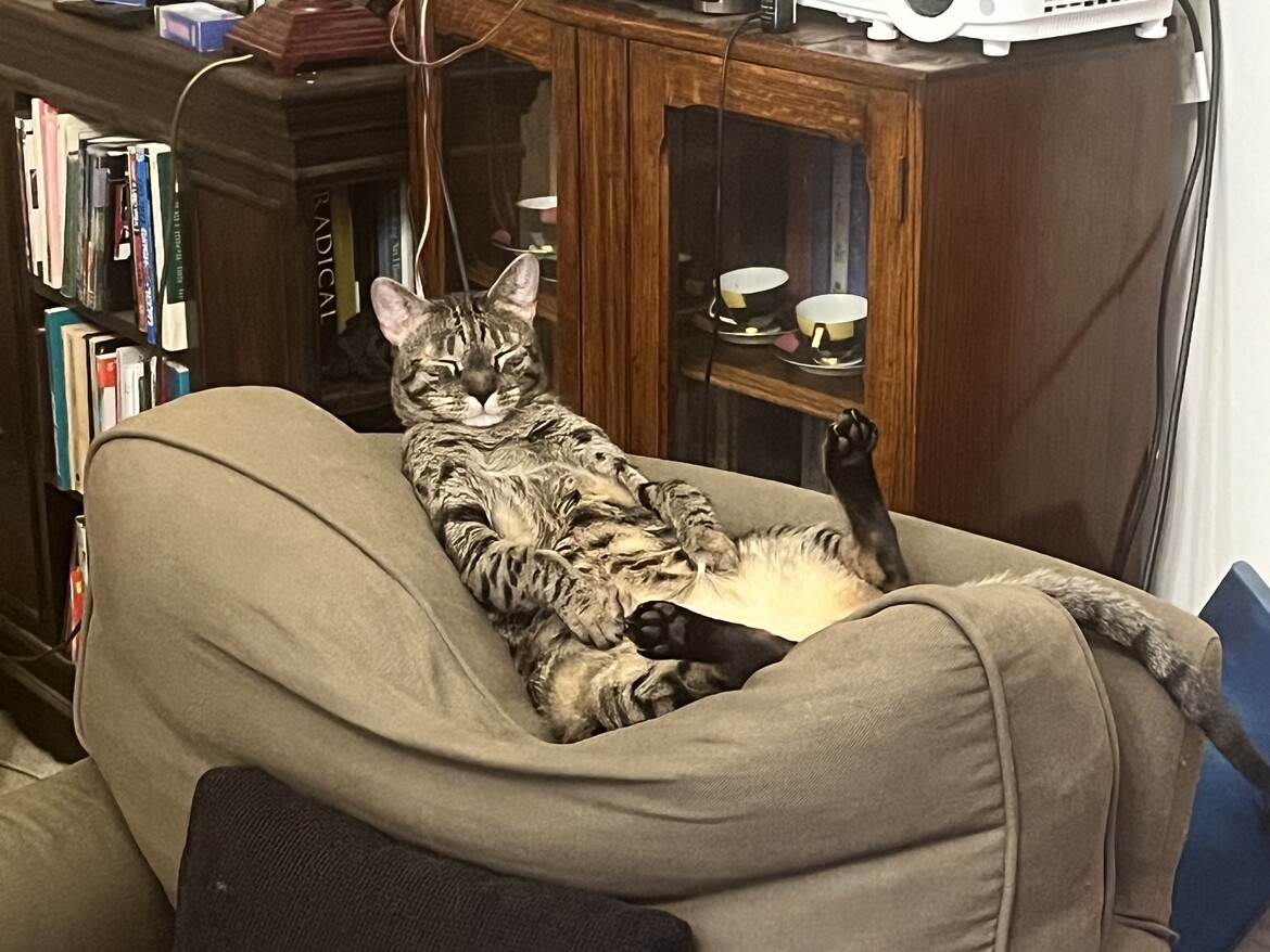 Sleeping