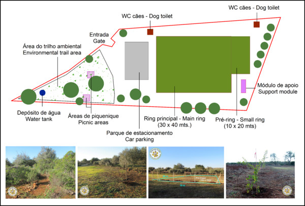 Quinta dos Patudos - Planta e trabalhos realizados