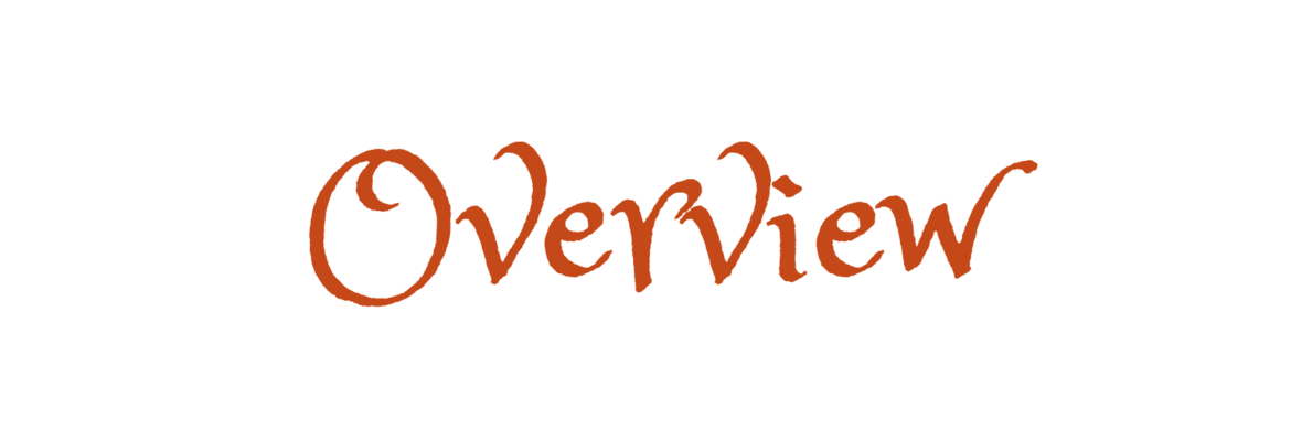 Overview