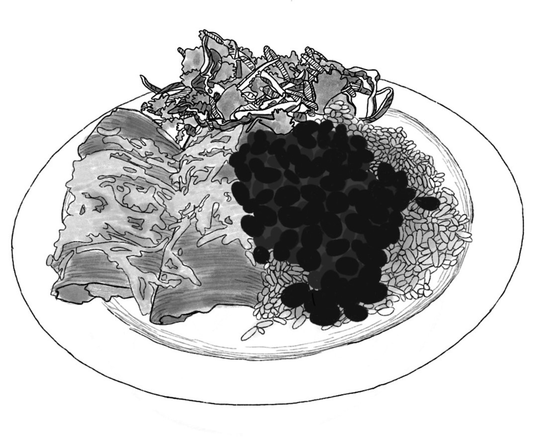 black and white drawing of a plate piled with rice, black beans, two enchiladas, and salad