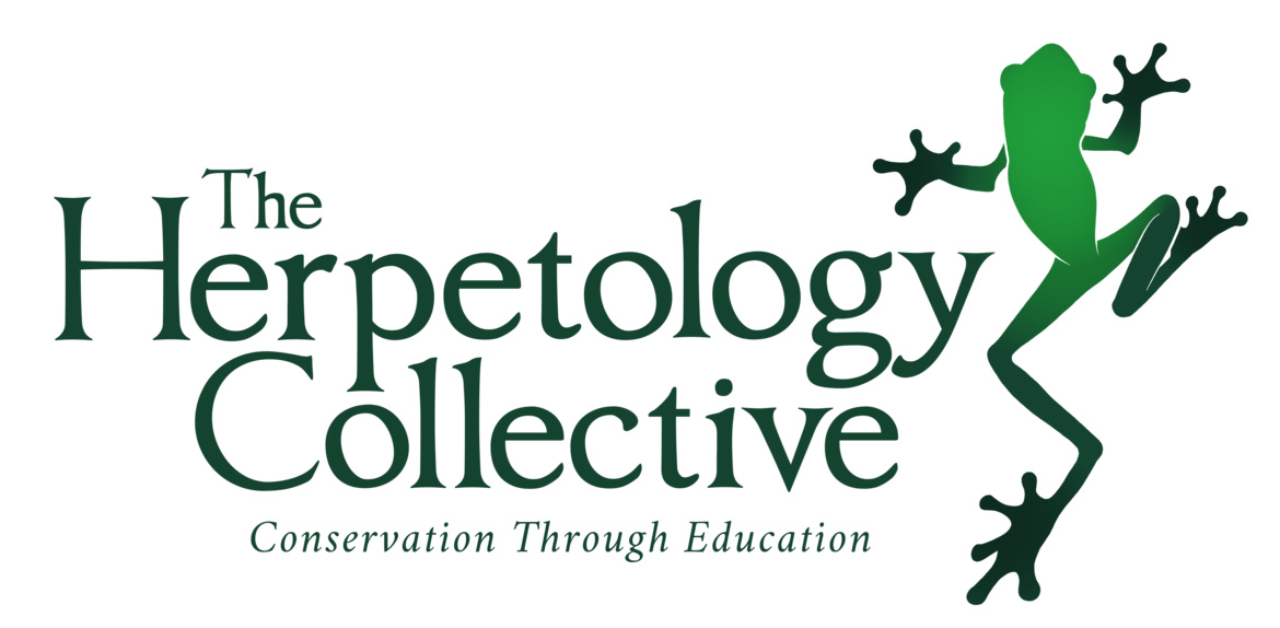 The Herpetology Collective Logo