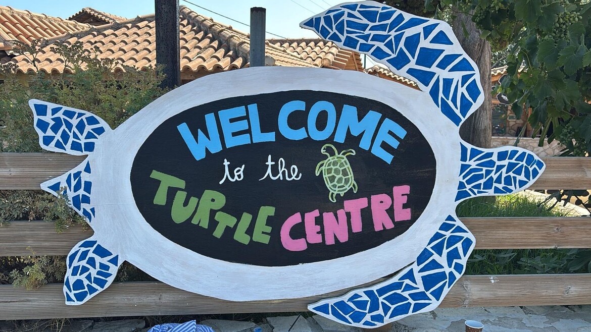 Visit our free turtle information center!