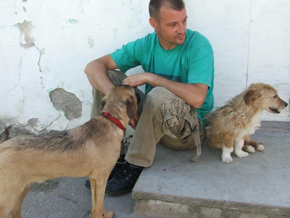 Goran and dogs
