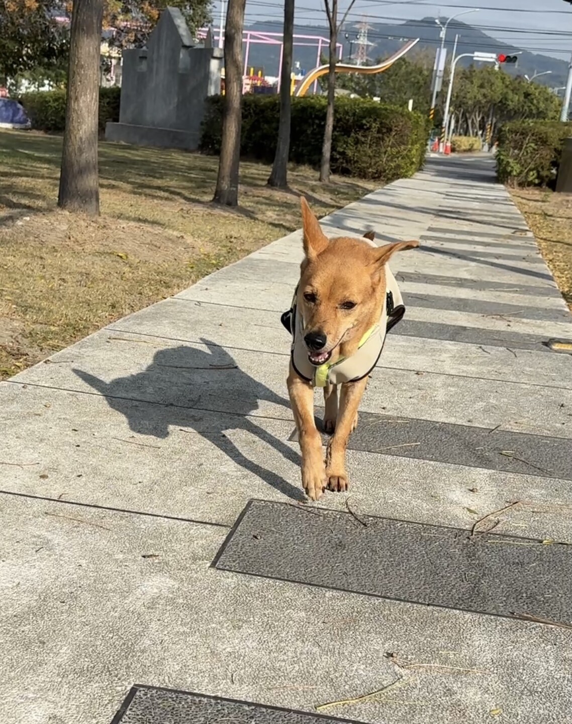 Visiting park for the first time