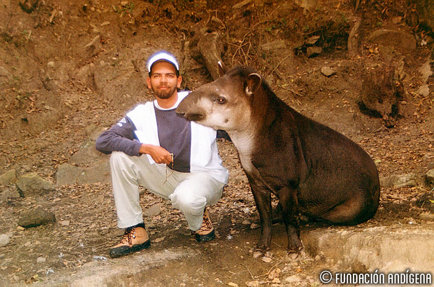 Deni Torres and a lowland tapir