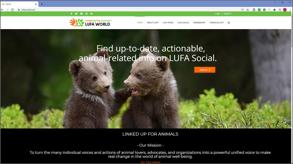 2 Cute Bears: Find up-to-date, actionable, animal-related info on LUFA Social. Join Us.