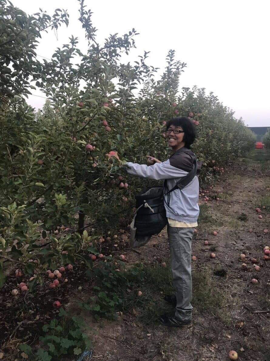 Picking fruit in Australia