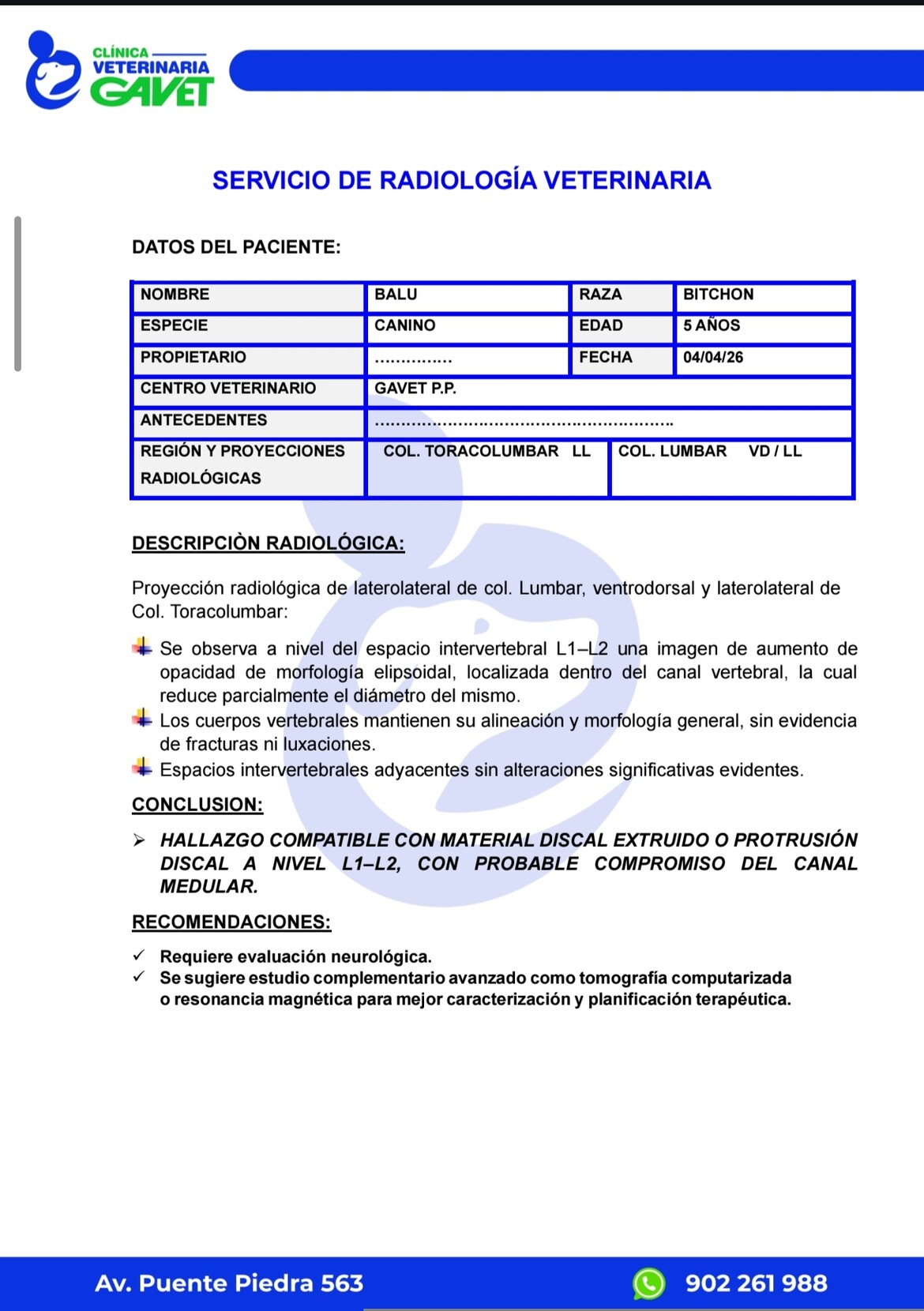 Picture of a veterinary description Orignal