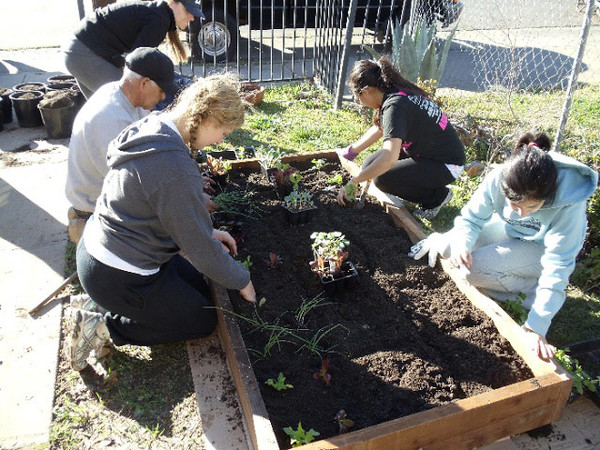 Home and Community Garden Project