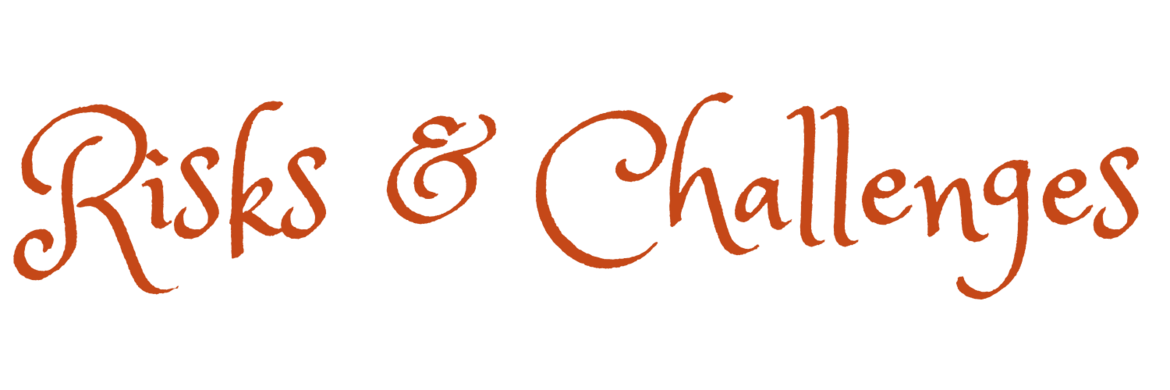 Risks & Challenges