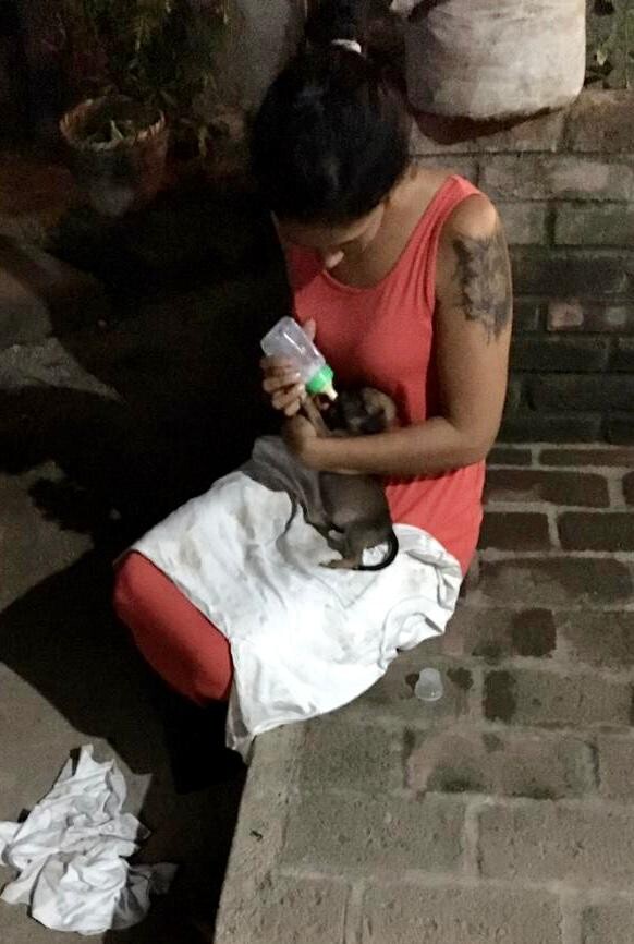 Claudia with Aria, who was rejected by her mother and had to be bottle-fed to be kept alive. Because of the short time with her mother, she didn't socialize well and because of that is to be considered a dangerous and unpredictable dog.