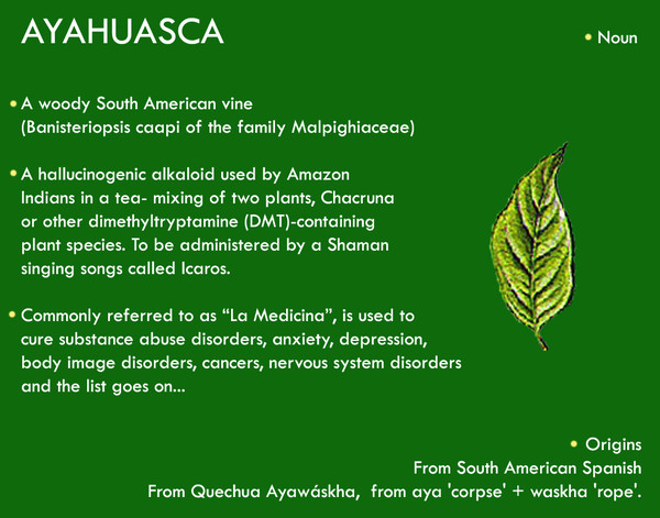 Ayahuasca