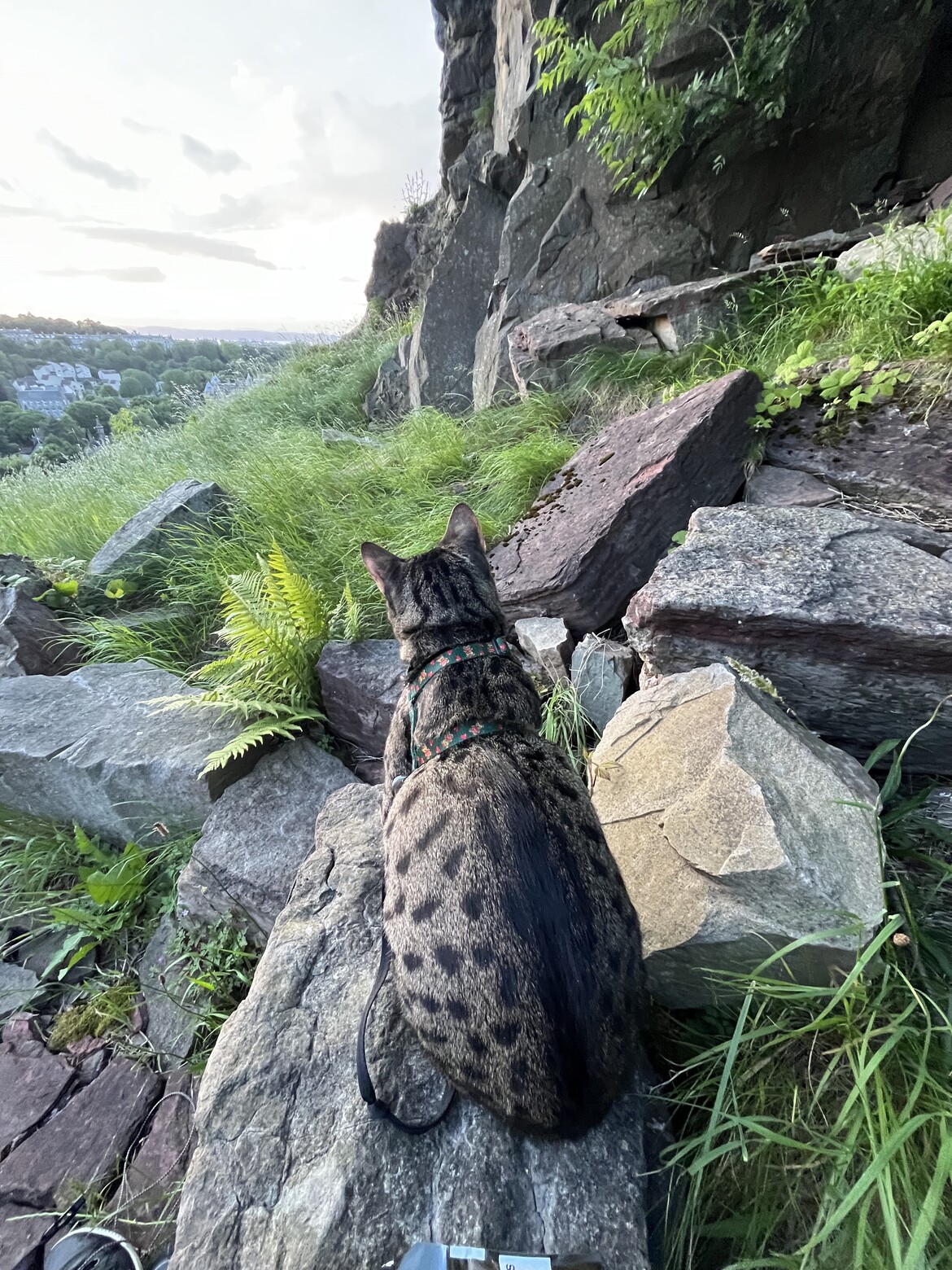 Outdoors 2