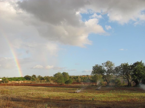 Vista geral da Quinta dos Patudos
