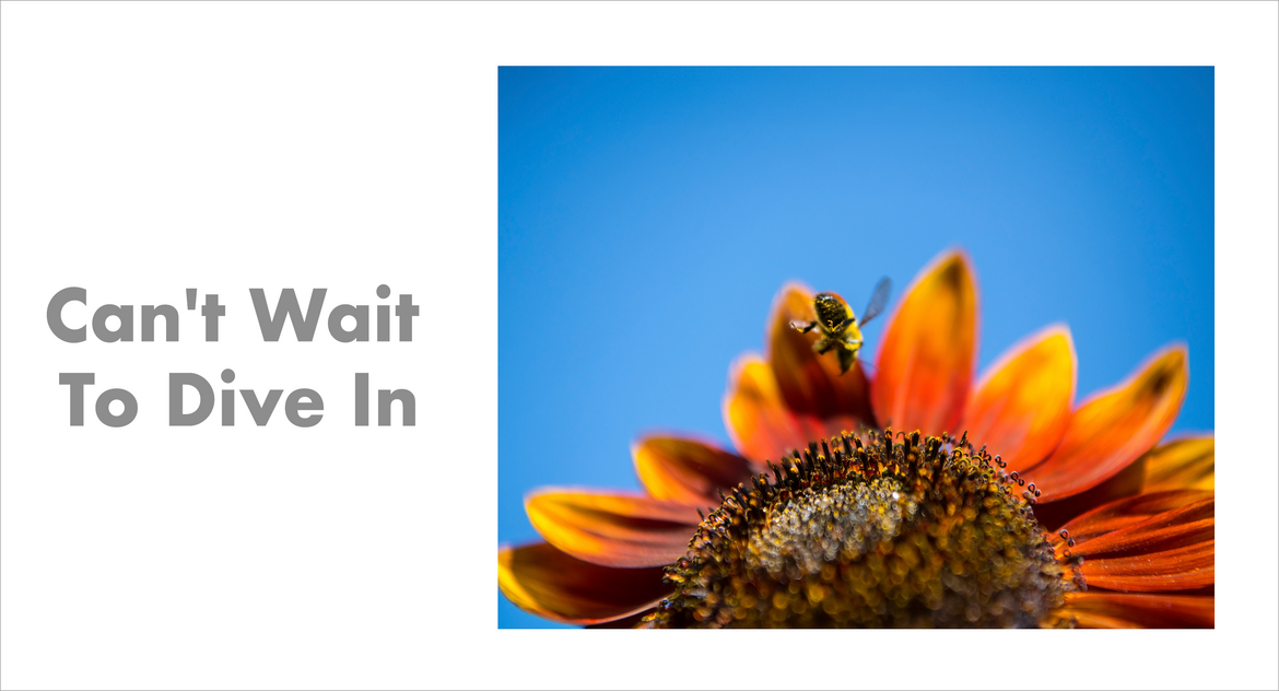 Can't Wait to Dive In