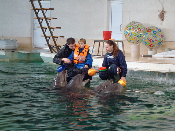Aronas in Dolphin Therapy