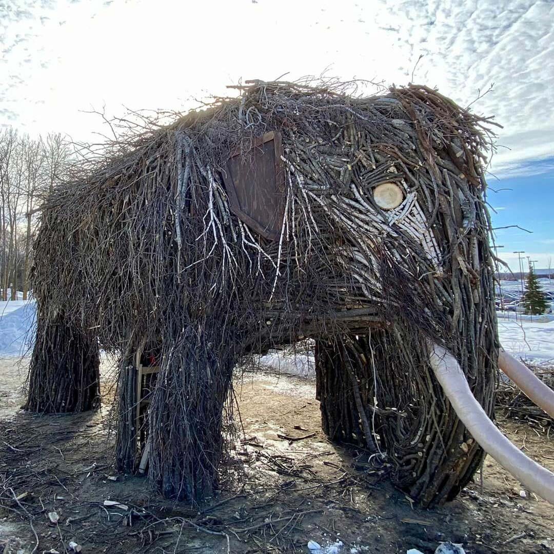 Mammoth at Detroit Mountain