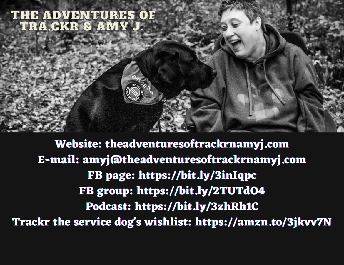 Thanks for assisting The Adventures of Trackr & Amy J.