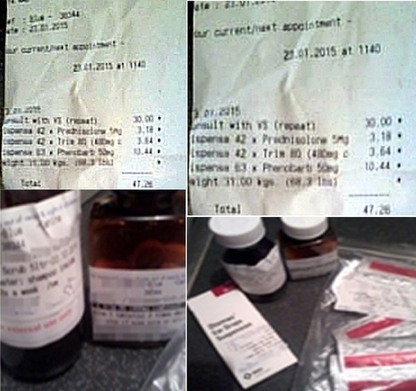 Various meds and vet's bills