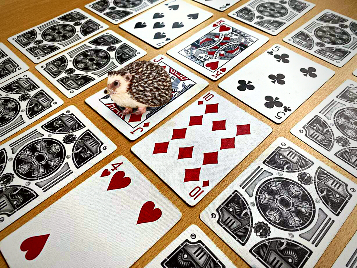 A hedgehog figurine sitting on a grid of cards, a series of them in the middle turned face-up.