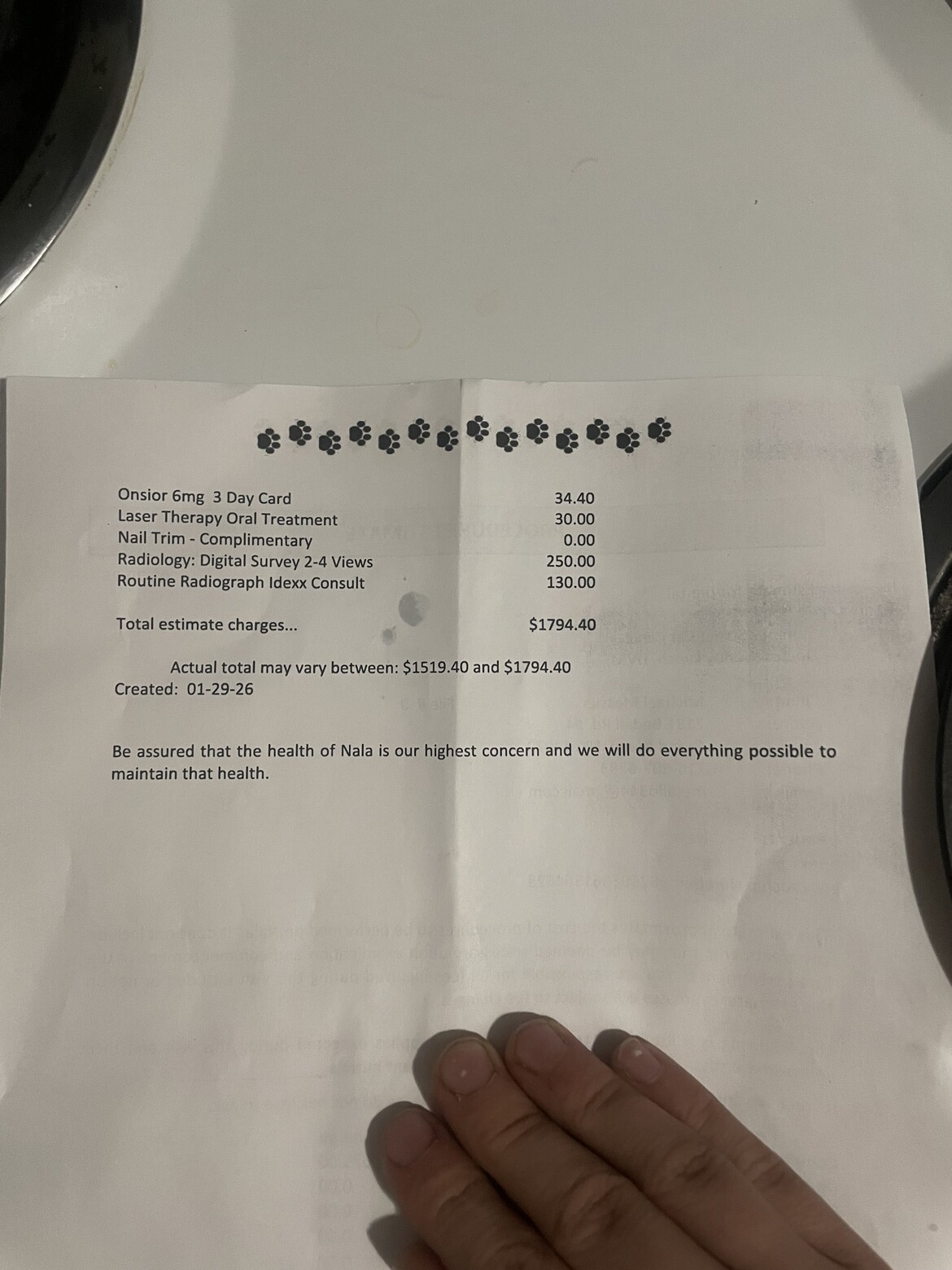 Other part of Nala’s dental treatment.