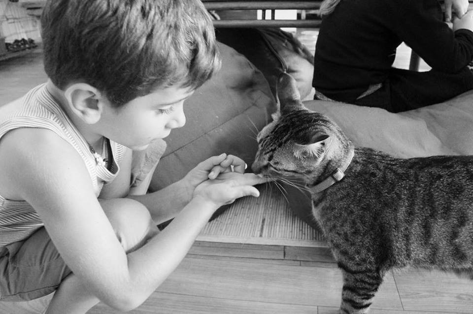 Kids learning to be gentle with cats
