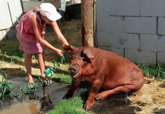 My sister helping with the after breakfast bath