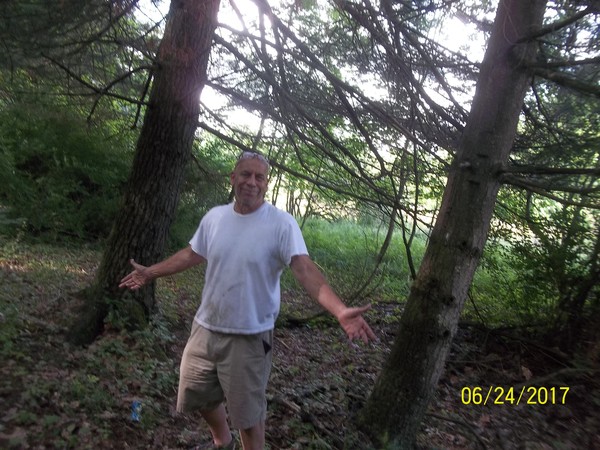 I do not much care for the woods, but it feels right for this work!