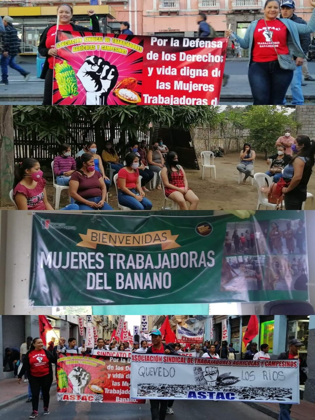 Acciones de fortalecimiento y protesta de las trabajadoras bananeras