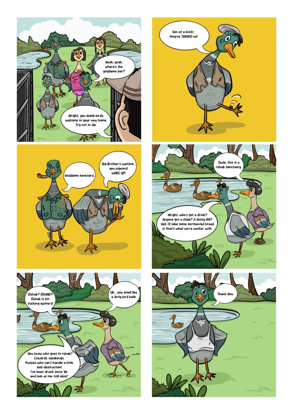 Page 1 What The Duck Teaser