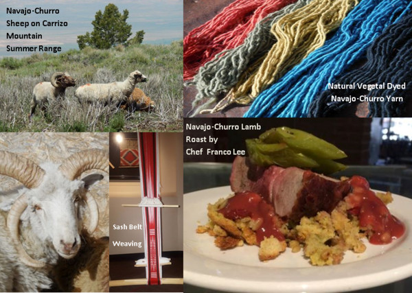 Traditional Navajo Lifeway revolves around sheep, weaving and whatever comes from these